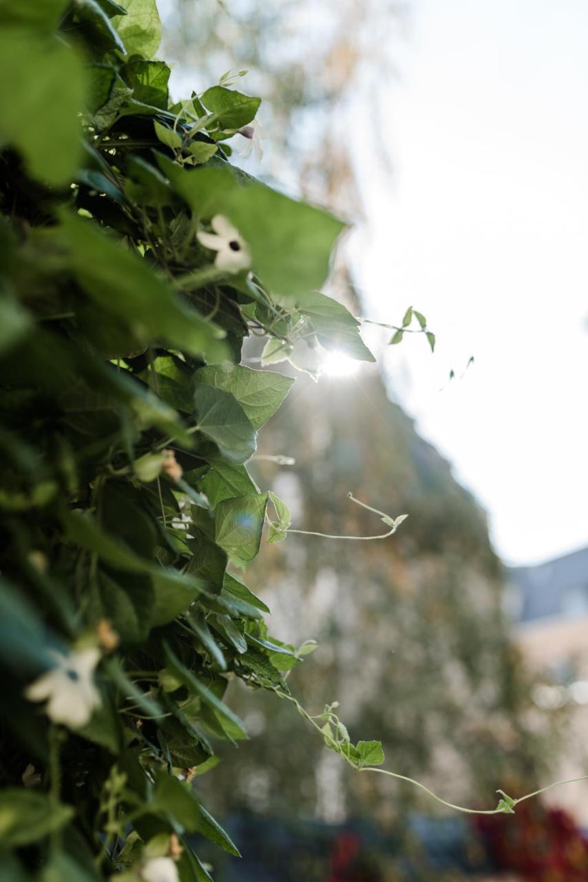 Sommers Hotel Altes Posteck Reichenbach im Vogtland Eksteriør bilde
